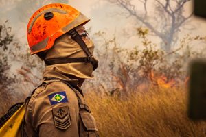 Emergency Fund: How Much Save? A Practical Guide for Financial Security
